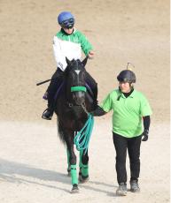 【注目馬動向】ジャスティンパレスは天皇賞・秋で坂井瑠星騎手と初コンビ　１週前追い切りで初コンタクトへ