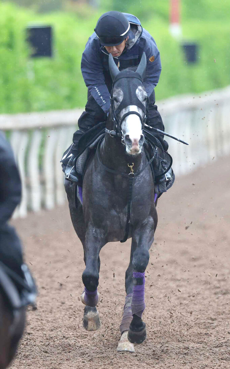 武豊騎手は菊花賞でアドマイヤテラに騎乗　１９年Ｖワールドプレミアの友道厩舎とコンビで６勝目狙う