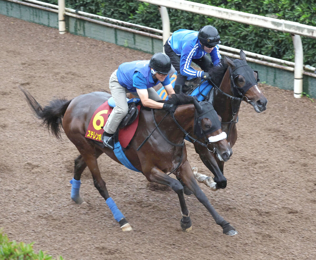 【秋華賞】ステレンボッシュは坂路で強め併入　陣営「当週にグンとよくなる馬なので」