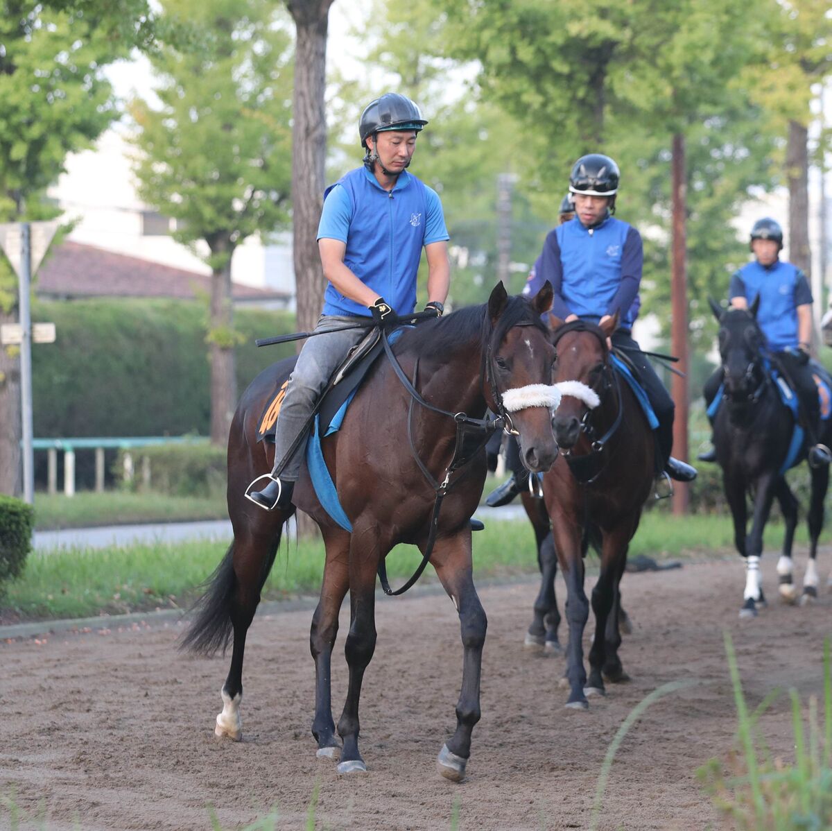 【サウジアラビアＲＣ】前走圧勝の良血アルレッキーノは３枠３番　札幌で新馬Ｖのアルテヴェローチェは１枠１番　枠順決定