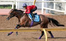 【京都大賞典】実績馬サトノグランツはさらに成長　友道調教師「（昨秋に）無理をさせなかったのが良かった」