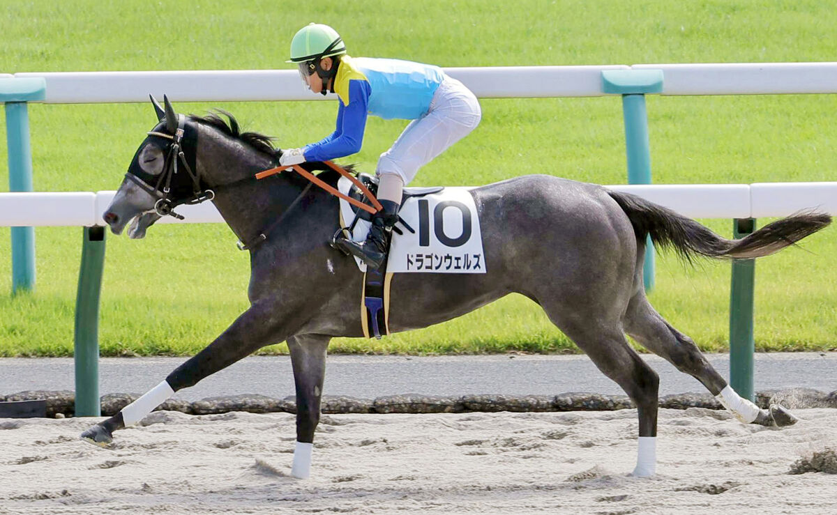 【京都４Ｒ・２歳新馬】２番人気ドラゴンウェルズ９馬身差の圧勝　北村友一騎手「何から何まで優秀でした」