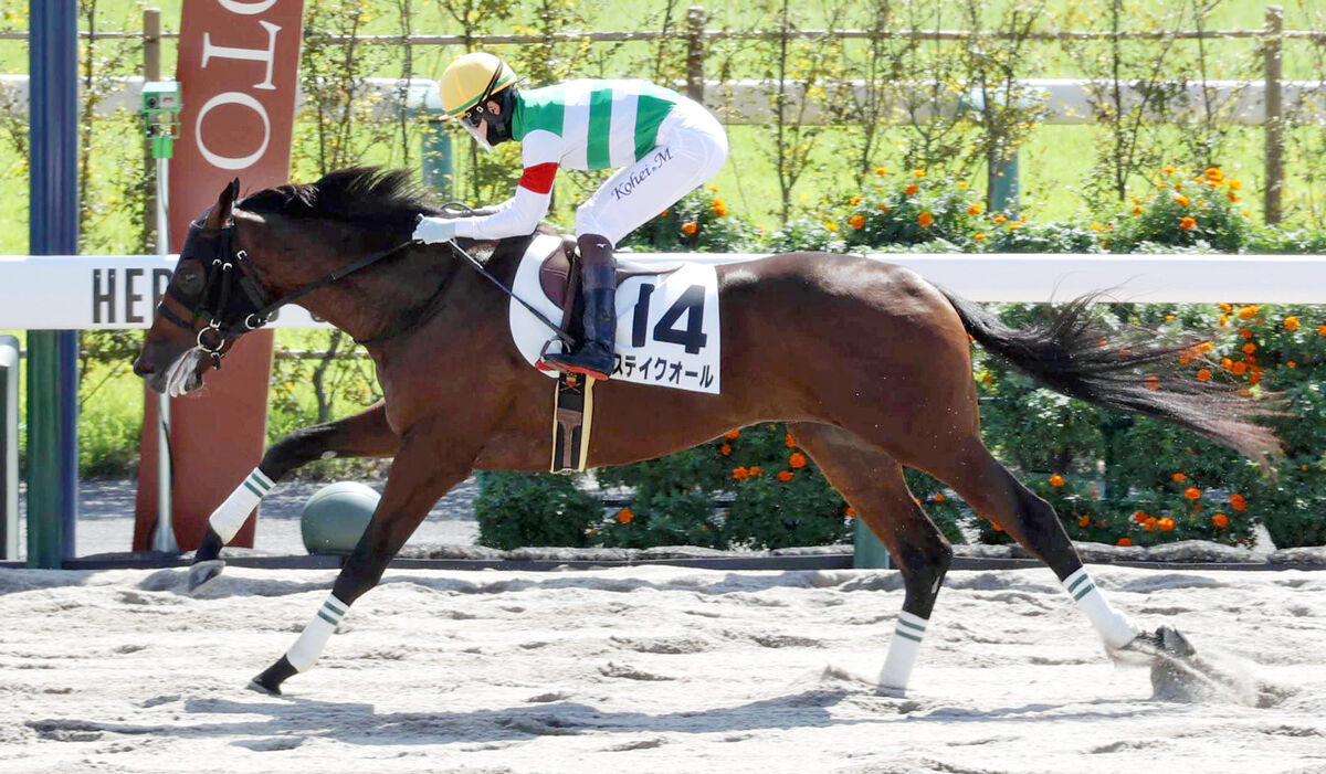 【京都３Ｒ・２歳新馬】ステイクオールが５馬身差快勝「強い競馬」松山弘平騎手　近親に砂の猛者タイムパラドックス