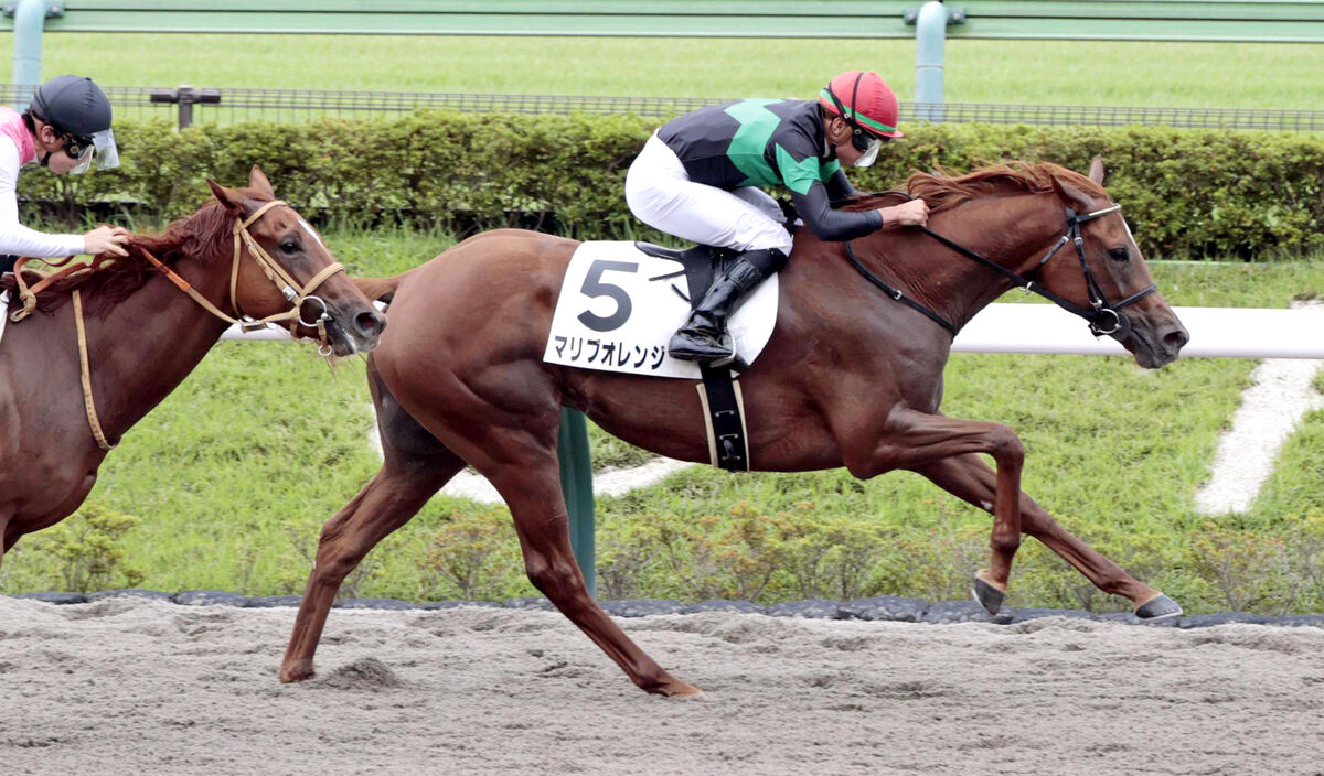 【東京３Ｒ・２歳新馬】マリブオレンジがスピード生かしてデビューＶ　福永祐一厩舎は京都２Ｒと２歳戦連勝