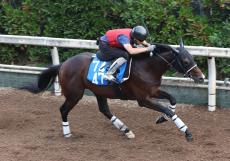 日曜京都競馬場の注目激走馬…京都１１Ｒ・京都大賞典・Ｇ２