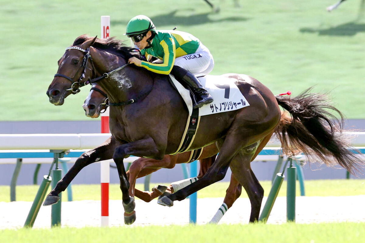 【京都５Ｒ・２歳新馬】良血サトノブリジャールがデビュー勝ち　伯母はＧ１・７勝のジェンティルドンナ