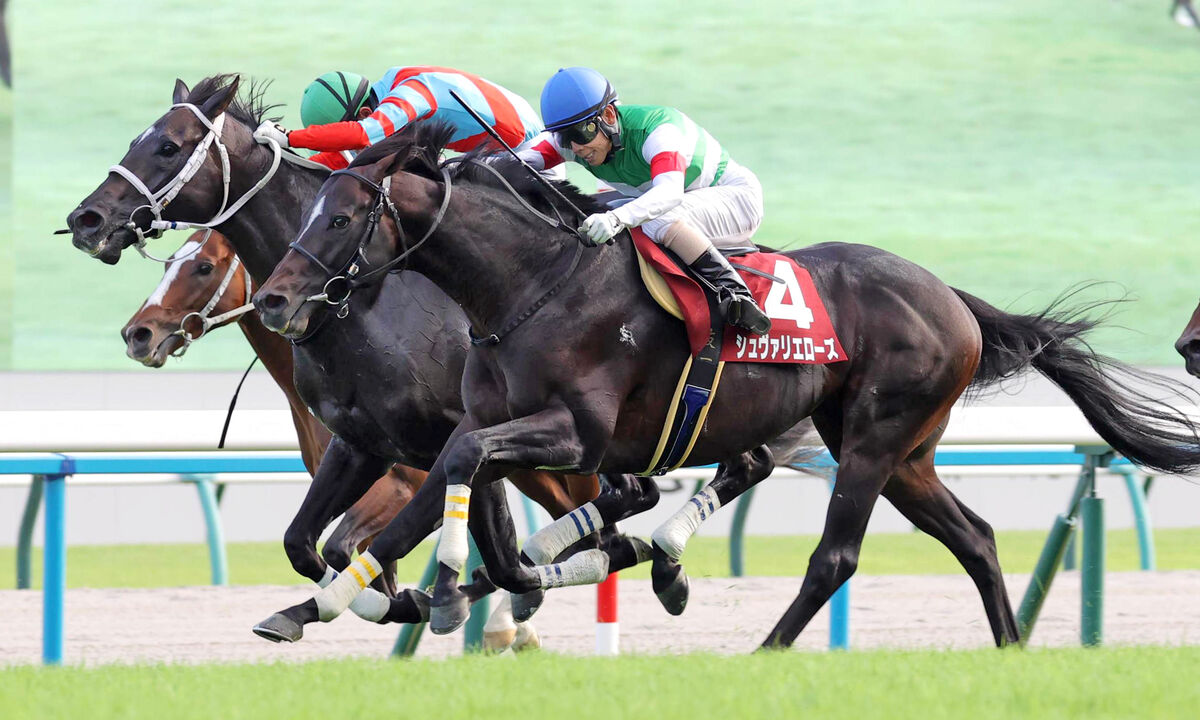 【京都大賞典】シュヴァリエローズが重賞初制覇　１番人気のブローザホーンが沈み３連単は１４１万円超