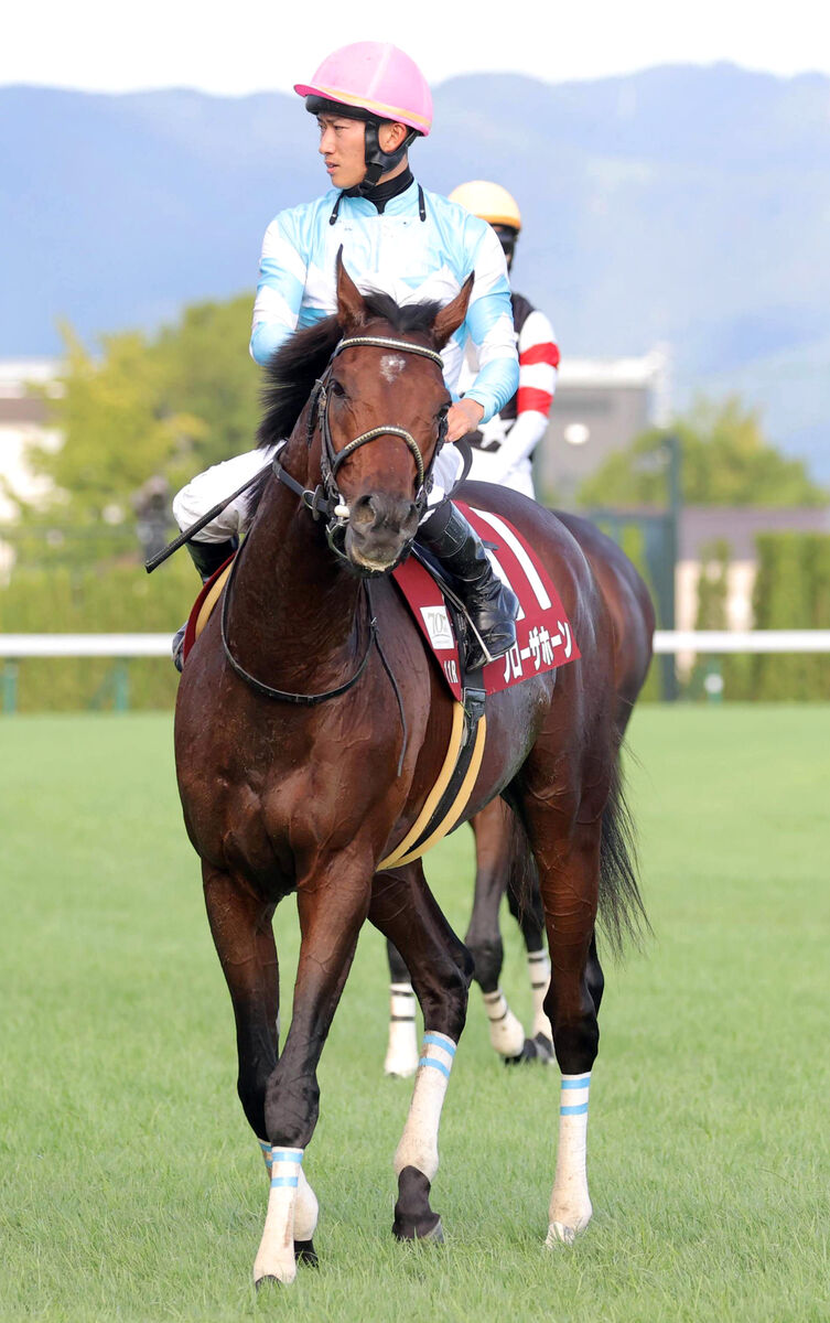 【京都大賞典】１番人気ブローザホーンまさかの最下位１１着　菅原明良騎手「進んでいかなくて…」