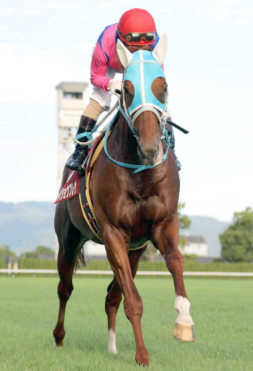 【京都大賞典】最低人気メイショウブレゲが３着激走　３連単１４１万円超を演出　酒井学騎手「人気以上に走れる」