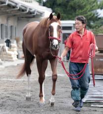 【秋華賞・浅子の特注馬】近年はオークス直行組が活躍　Ｇ１馬２頭が有力も妙味ではアドマイヤベル