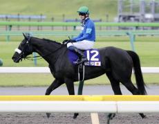 【府中牝馬Ｓ・坂本の特注馬】安田記念７着のフィアスプライドは牝馬同士なら巻き返し必至　６歳秋でも衰えなし