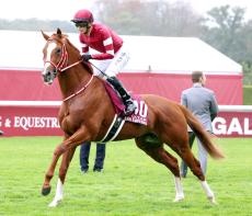 【凱旋門賞】日本競馬の悲願ならず　坂井瑠星騎手のシンエンペラーは１２着