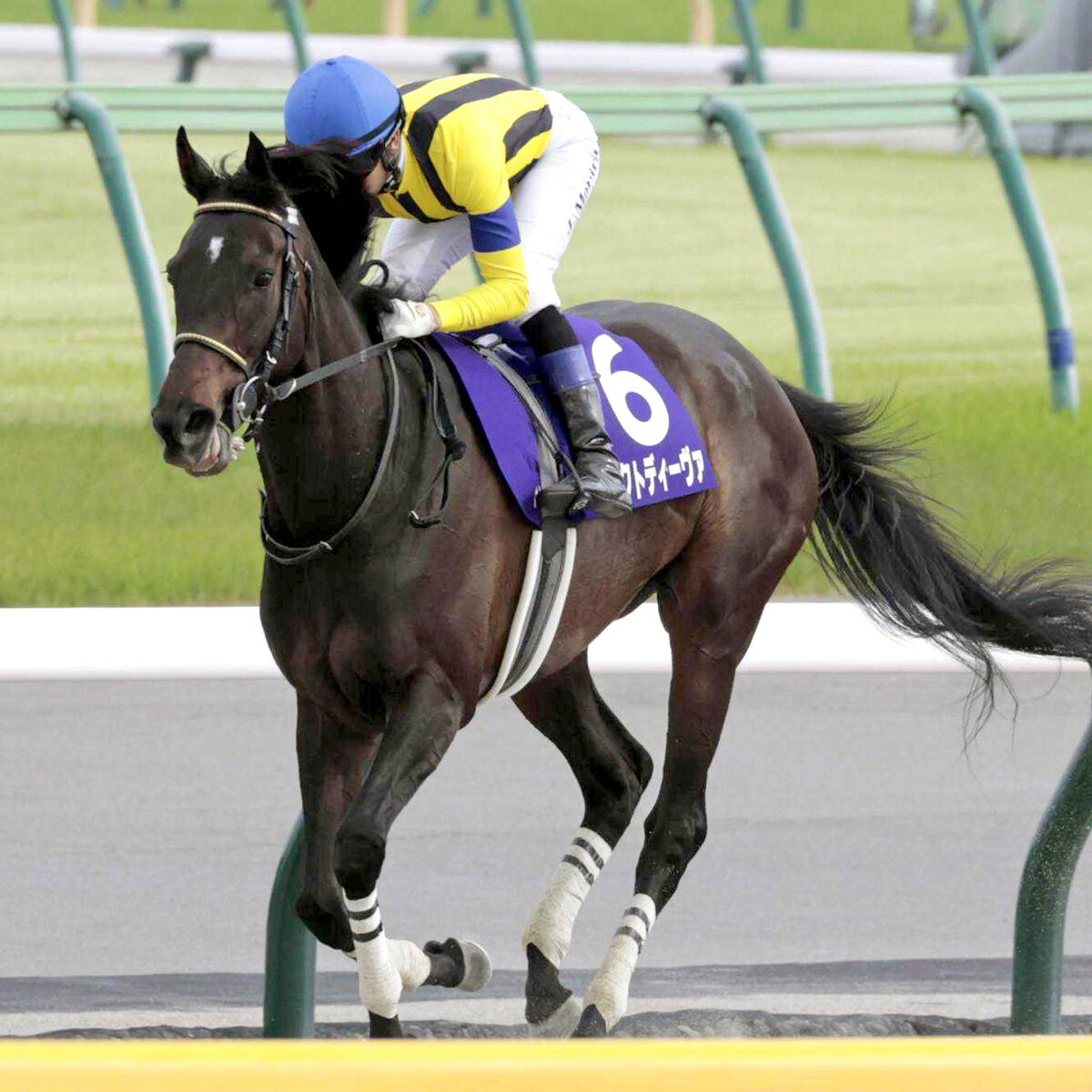 【府中牝馬Ｓ】充実期に入ったマスクトディーヴァ　陣営「マイルより１８００メートルの方が競馬がしやすい」