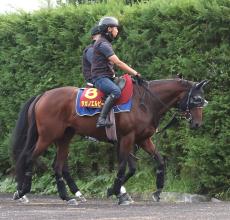 【秋華賞・戸田の特注馬】タガノエルピーダが叩き２走目で良化ムード　斉藤崇調教師「中身が詰まってきた」