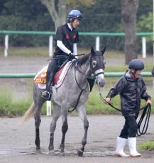 【秋華賞】クイーンＳの勝ち馬コガネノソラはＷコースで軽快　菊沢調教師「精神面もちょうどいい感じ」