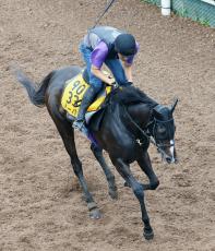 【府中牝馬Ｓ】実績馬ハーパーは完全休養経て復活の兆し　友道調教師「ようやく動けるように」