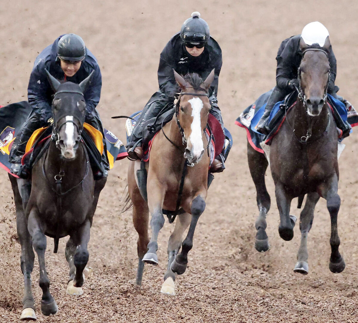 【秋華賞】オークス馬のチェルヴィニアで２冠へ万全の動き　木村調教師「実戦に近いイメージでやりました」