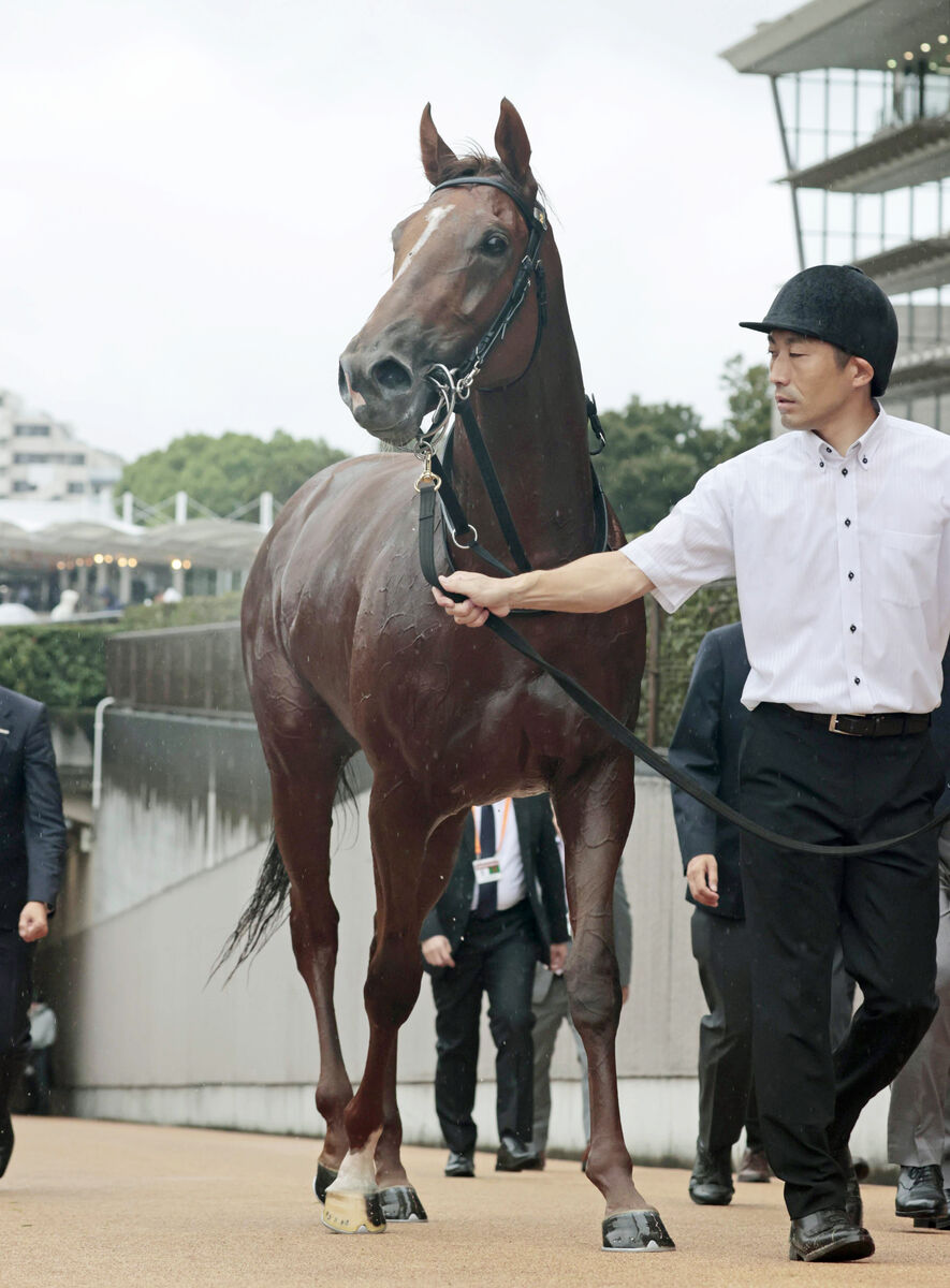 【注目馬動向】５日のデビュー戦快勝のレッドキングリーは東スポ杯２歳Ｓが目標