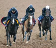 【秋華賞】オークス馬が２冠に向けて“ホーム”で完璧デモ