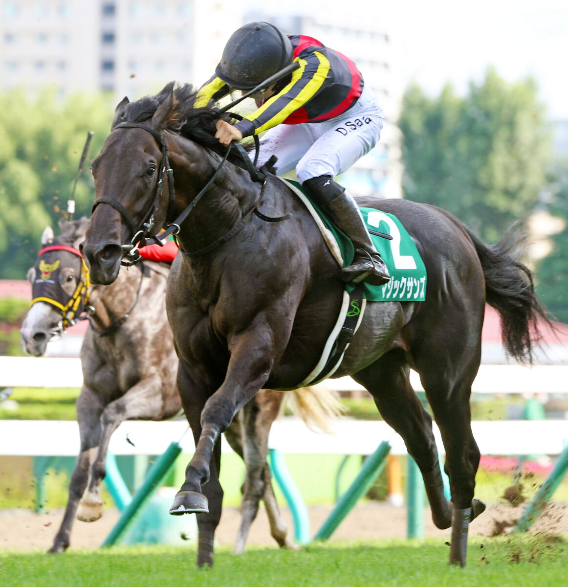 【注目馬動向】札幌２歳Ｓ勝ち馬のマジックサンズはホープフルＳでの復帰が目標