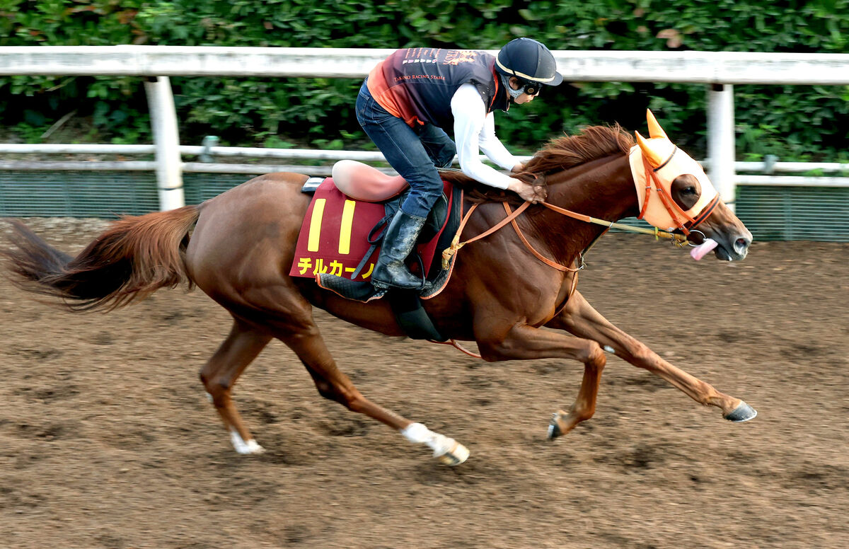 【秋華賞】皐月賞馬ジオグリフの半妹チルカーノは軽快に登坂　高野調教師「チャレンジするにはふさわしい状態」