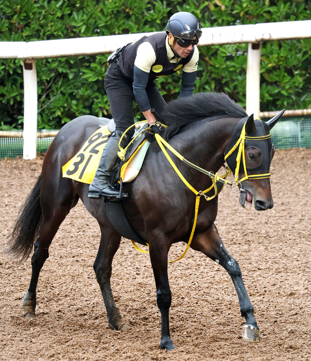 【府中牝馬Ｓ】モズゴールドバレルはＣＷコースでラスト１１秒２　藤岡調教師「疲れもなくフレッシュ」