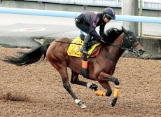 【府中牝馬Ｓ】モリアーナに武藤調教師「一発があるならここ」　いつも通りキレのある動き