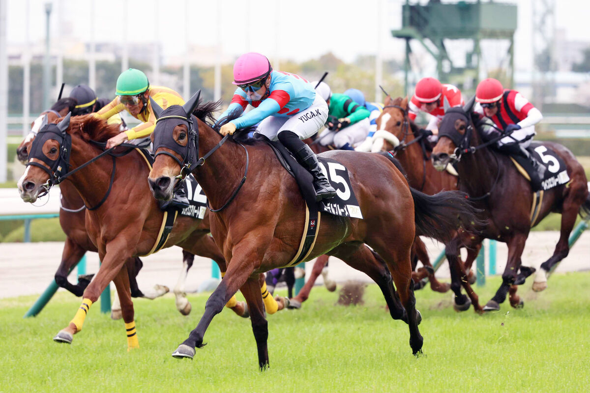 【注目馬動向】福永厩舎で初の重賞連対　エーデルブルーメが右前浅屈腱炎で引退　Ｇ１出走目指すも