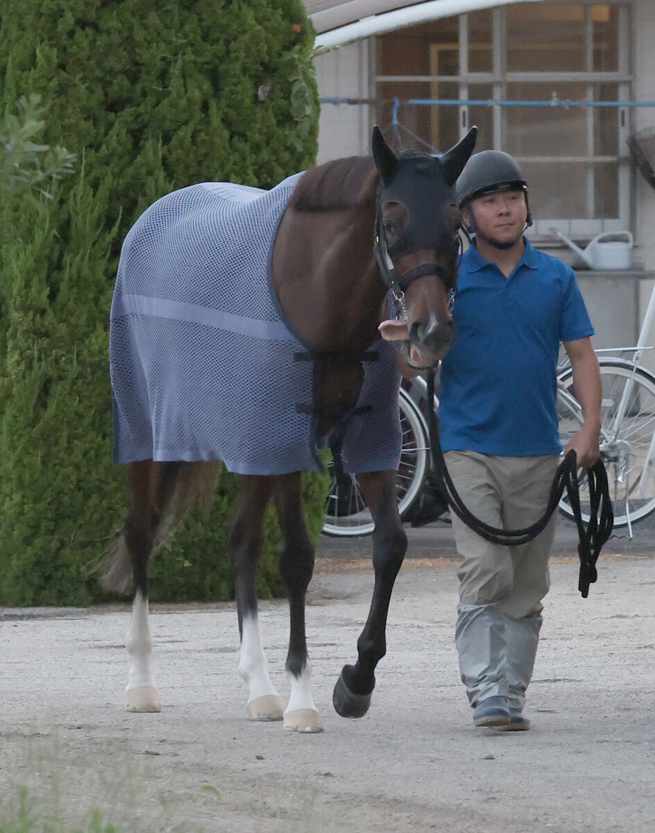 【秋華賞】桜花賞馬ステレンボッシュは８枠１４番　オークス馬チェルヴィニアは３枠５番に決まる　枠順決定