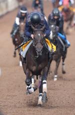 【府中牝馬Ｓ】重賞３勝目を狙うマスクトディーヴァは４枠６番　久々の復帰戦となるブレイディヴェーグは３枠５番　枠順決定