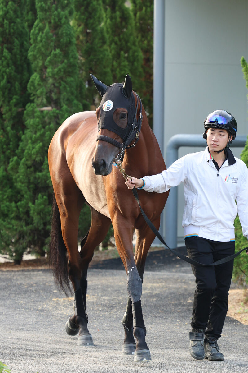 【秋華賞】初めての栗東滞在が吉と出そうな美浦所属の重賞ウイナーは…　陣営「オークスより楽しみ」