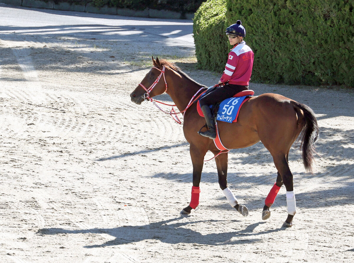 フォーエバーヤングなど栗東所属馬１５頭がブリーダーズＣに向け１０月２２日に出国