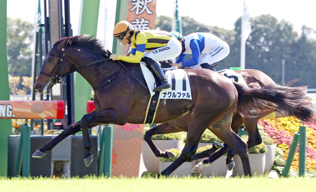 【京都５Ｒ・２歳新馬】エピファネイア産駒のナグルファルが競り合い制す　川田将雅騎手「調教通りの内容」