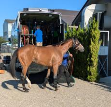 【秋華賞】２冠を狙うチェルヴィニアは９時間かかるも無事に到着　陣営「落ち着いて輸送できました」