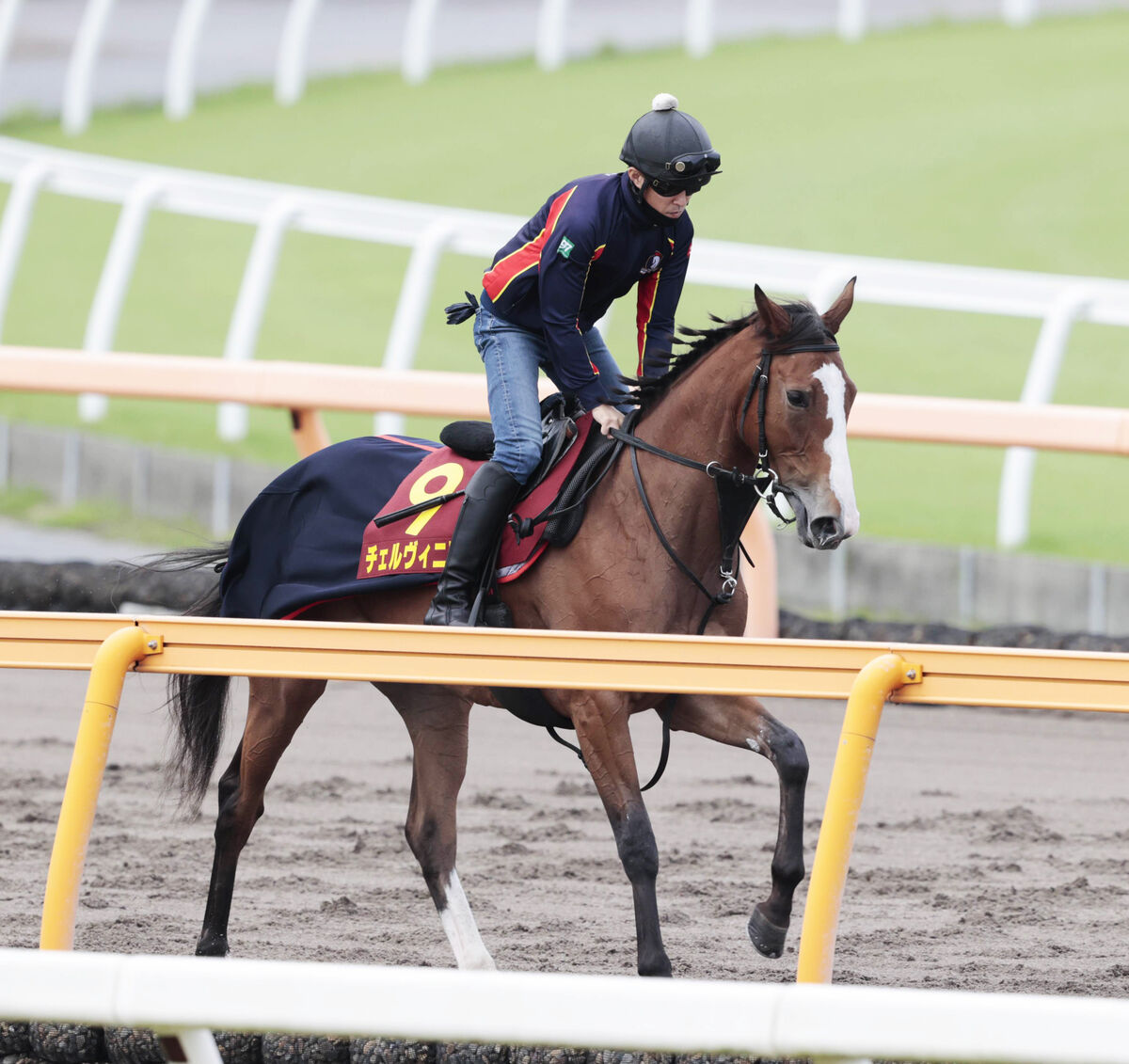 【秋華賞】１０倍以下３頭に次ぐ４番人気は…強烈な末脚を見せたトライアル２着馬　前売り最終オッズ