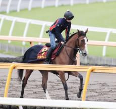 【秋華賞】１０倍以下３頭に次ぐ４番人気は…強烈な末脚を見せたトライアル２着馬　前売り最終オッズ