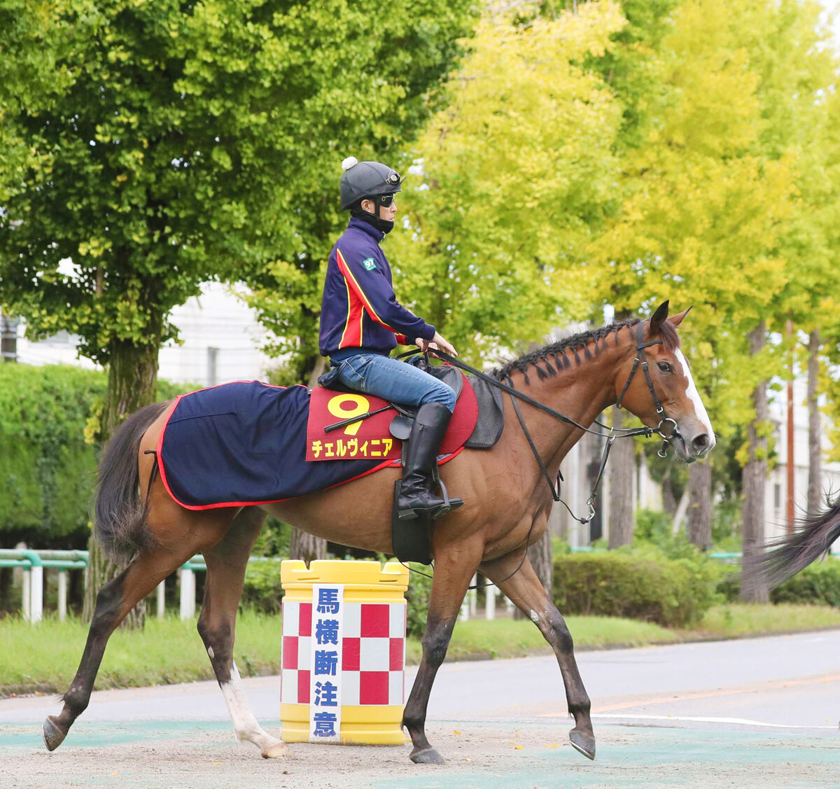 【秋華賞】森泰斗騎手期待のオークスからぶっつけ本番でも仕上がりが万全な馬とは