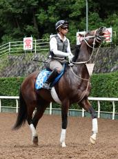 日曜東京競馬場の注目激走馬…東京１１Ｒオクトーバーステークス（Ｌ）