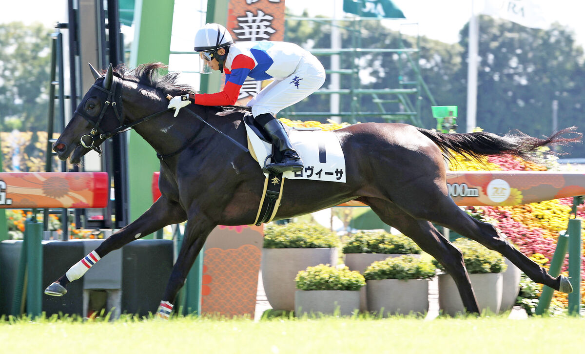 【京都５Ｒ・２歳新馬】９番人気のロヴィーサが快勝　大根田調教師はＪＲＡ通算３００勝達成