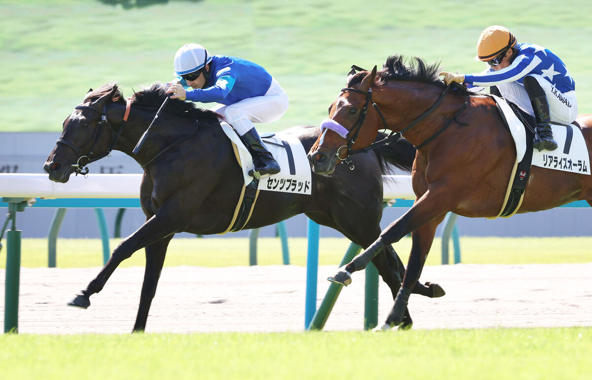 秋華賞当日の京都は内伸び馬場　ルメール騎手が自在性評価＆５番枠のチェルヴィニアに追い風