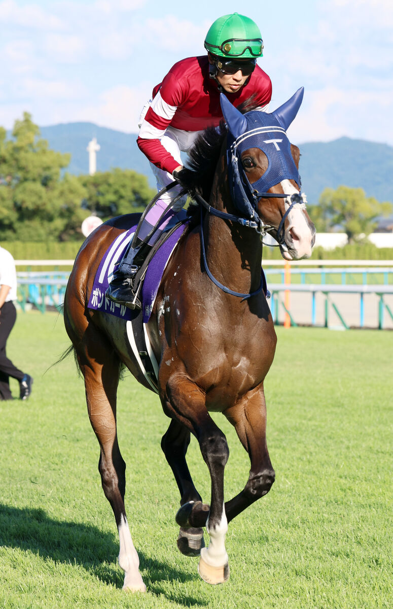 【秋華賞】ボンドガール外から猛追も届かず４度目の重賞２着　武豊騎手「（勝ち馬は）内が開いたからね」