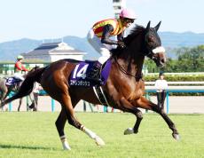 【秋華賞】桜花賞馬ステレンボッシュ樫のリベンジならず３着　戸崎圭太騎手は位置取り悔やむ