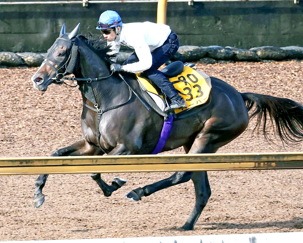 【府中牝馬Ｓ】今年２戦２けた着順も復活信じて３番人気　唯一のＧ１馬は１番人気とはならず　前日オッズ発表