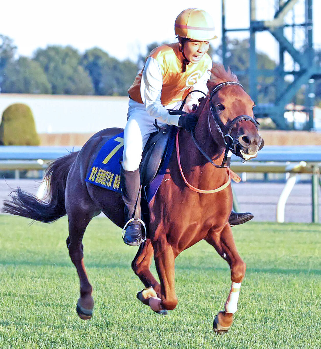 ジョッキーベイビーズは東北・新潟地区代表の梅沢怜士君が優勝「すごく気持ち良かったです」