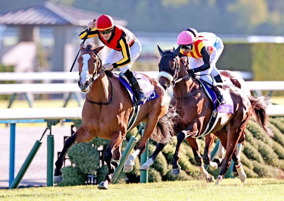 【秋華賞】オークス馬が２冠達成　次は牡馬、古馬相手にジャパンＣ目指す　ルメール騎手絶賛「自分の仕事を分かってる」