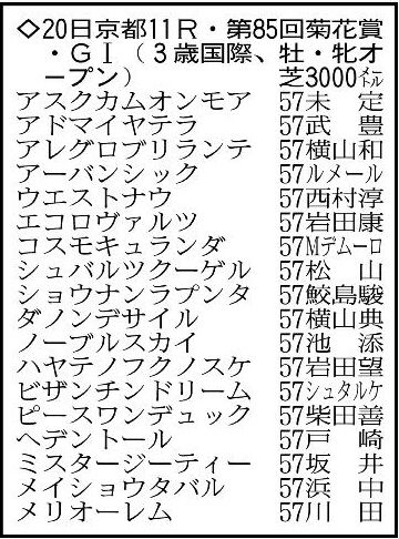 【菊花賞展望】ダービー馬ダノンデサイルの力が上位も、狙いたいのはあの上がり馬