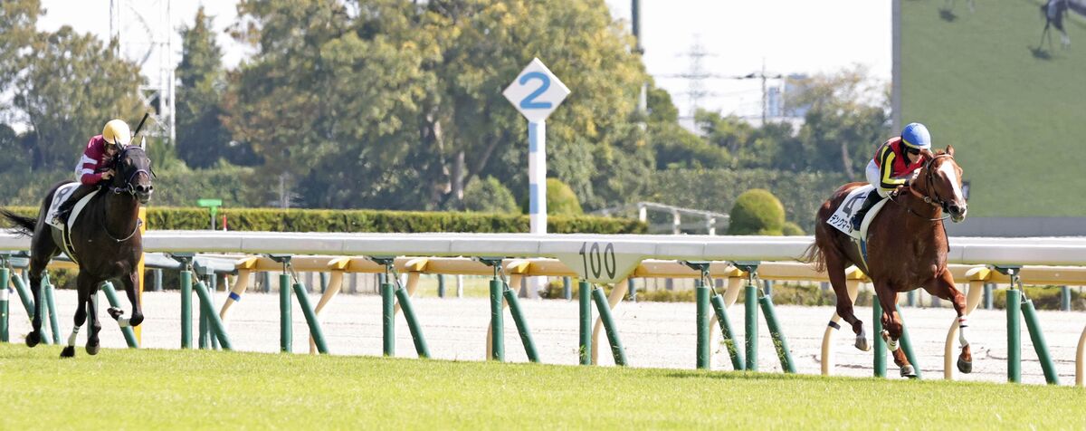 【東京５Ｒ・２歳新馬】単勝１・４倍の断然人気　デンクマールが“圧逃”Ｖ　ルメール騎手「まだ伸びしろがある」