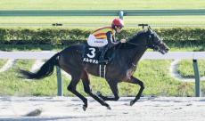 【東京９Ｒ・プラタナス賞】メルキオルが逃げて５馬身差の圧勝　川田将雅騎手「前回よりもいい内容」