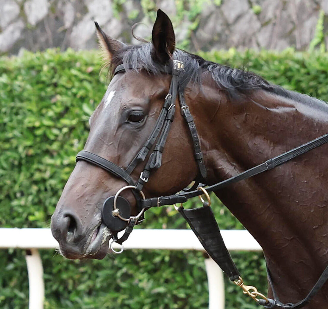 【府中牝馬Ｓ】川田将雅騎手と初コンビのマスクトディーヴァは差されて３着　秋Ｖ発進ならず　１着はブレイディヴェーグ