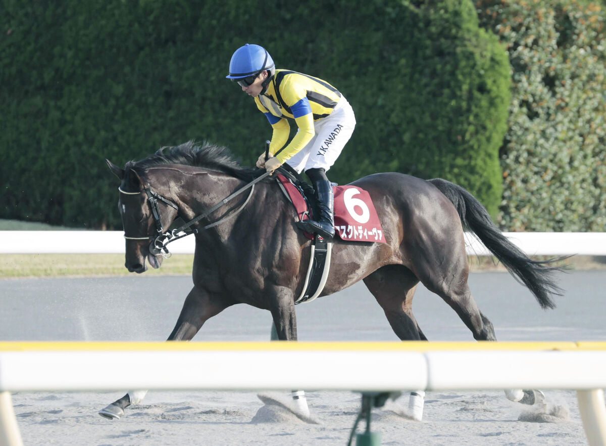 【府中牝馬Ｓ】３着マスクトディーヴァはエリザベス女王杯へ　川田将雅騎手「これが本番につながってくれればと」